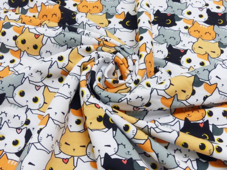 French Terry Cats