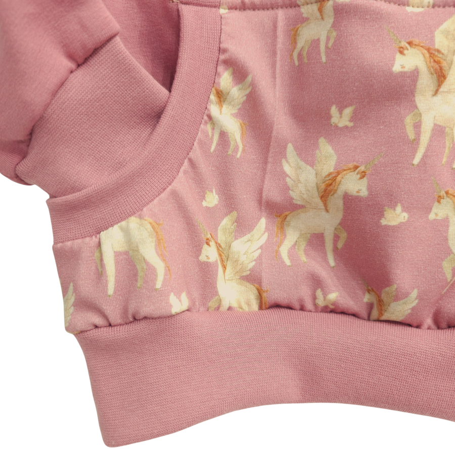 Pullover [ Kids 1-7 Jahre ] Fairyland Alicorn (Sweat altrosa)