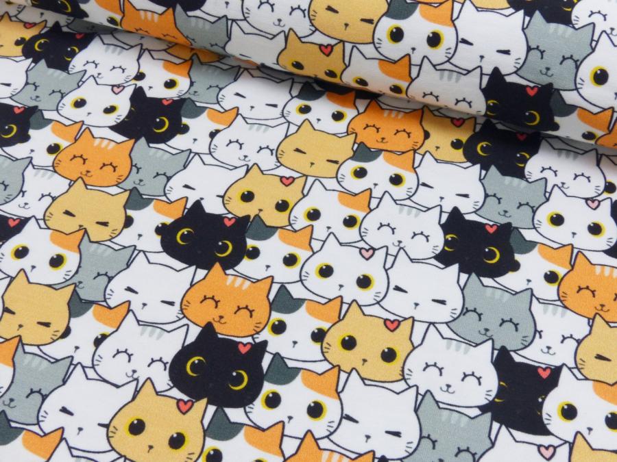 French Terry Cats